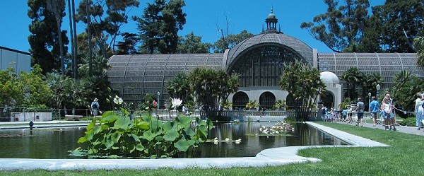 Click here for the image at 800 x 332.
